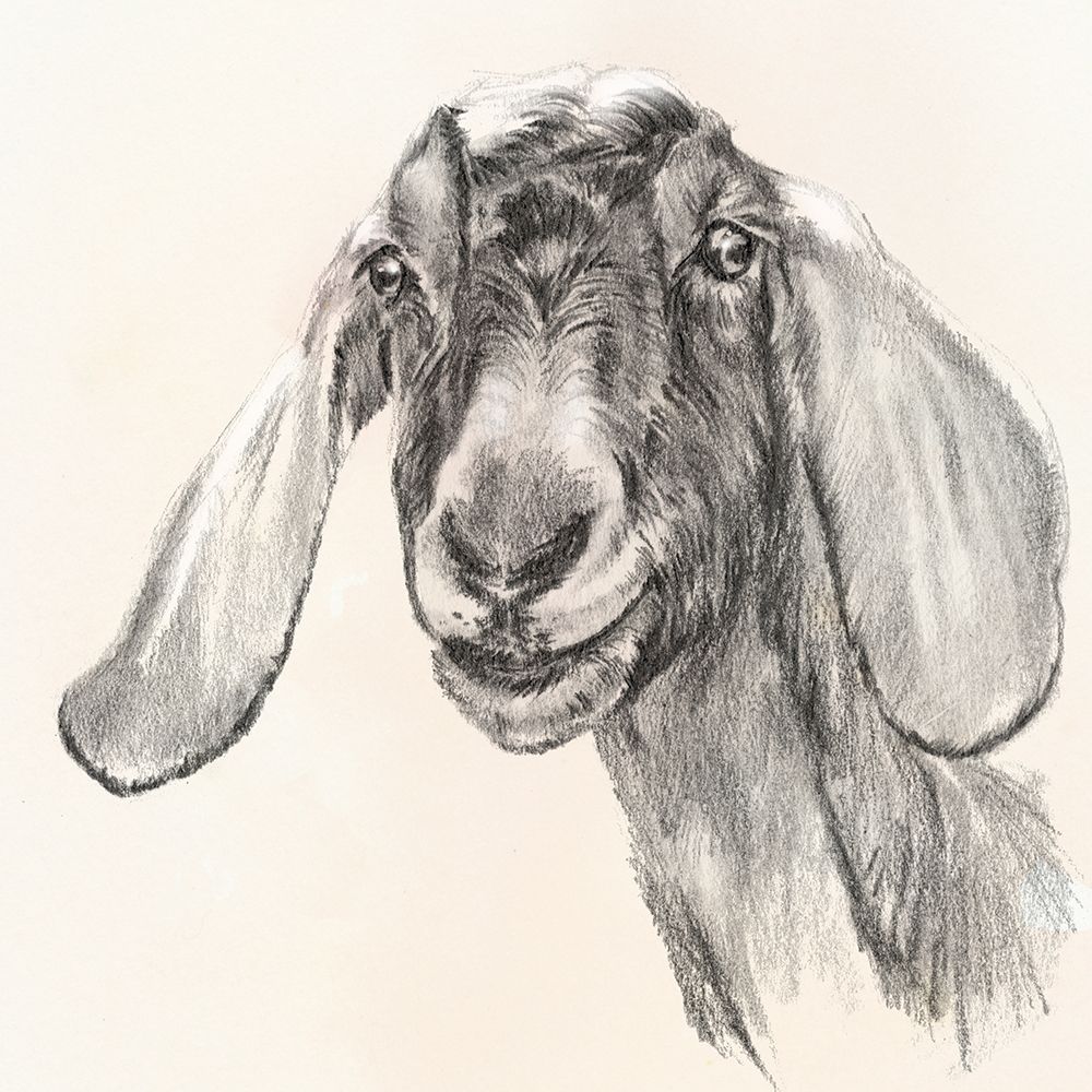 Farm Portrait I