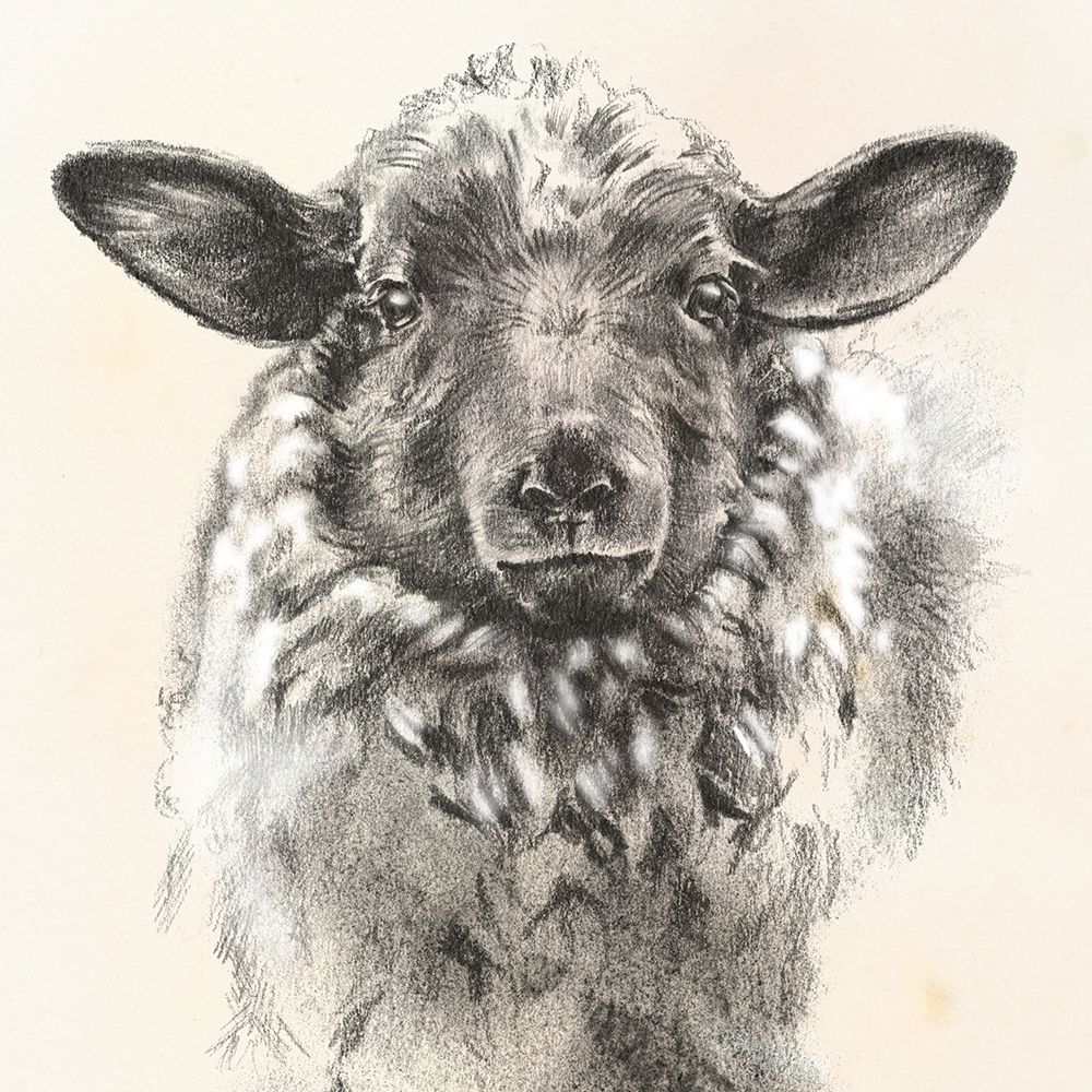 Farm Portrait II