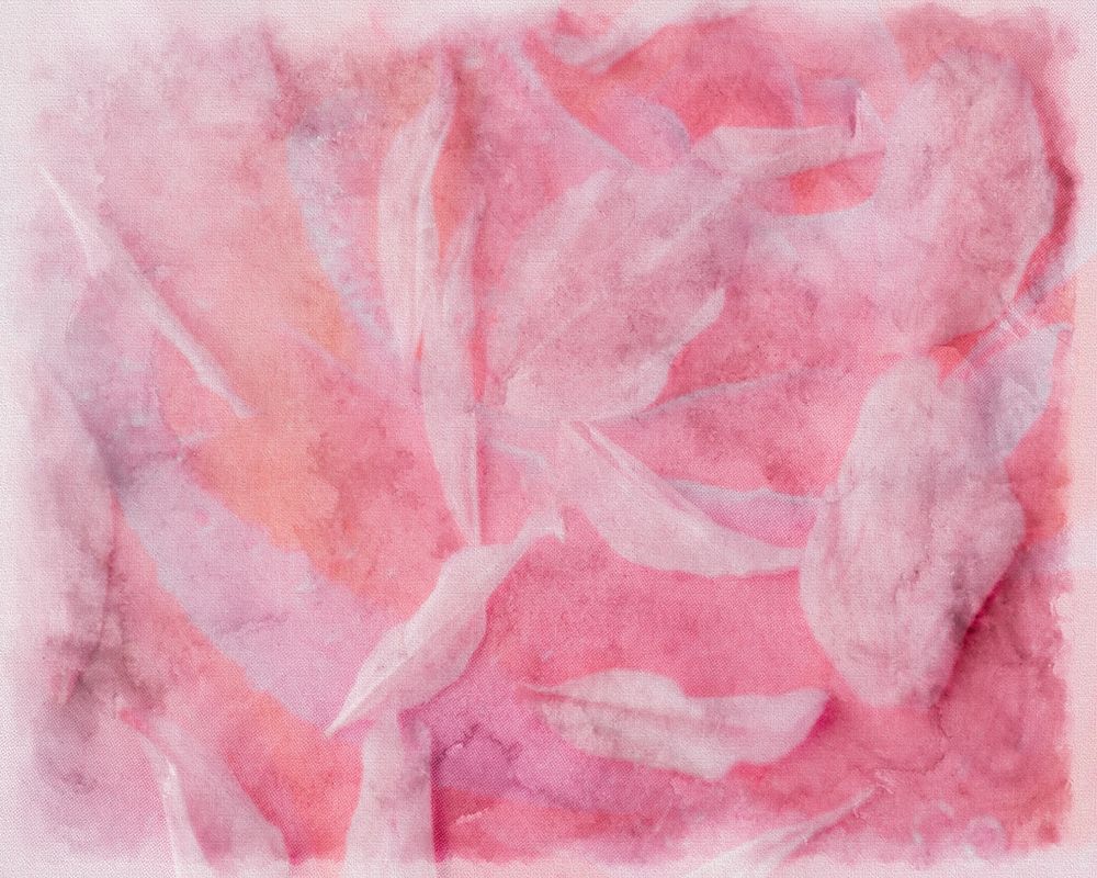 Coral Essence I