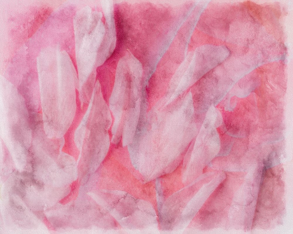 Coral Essence II