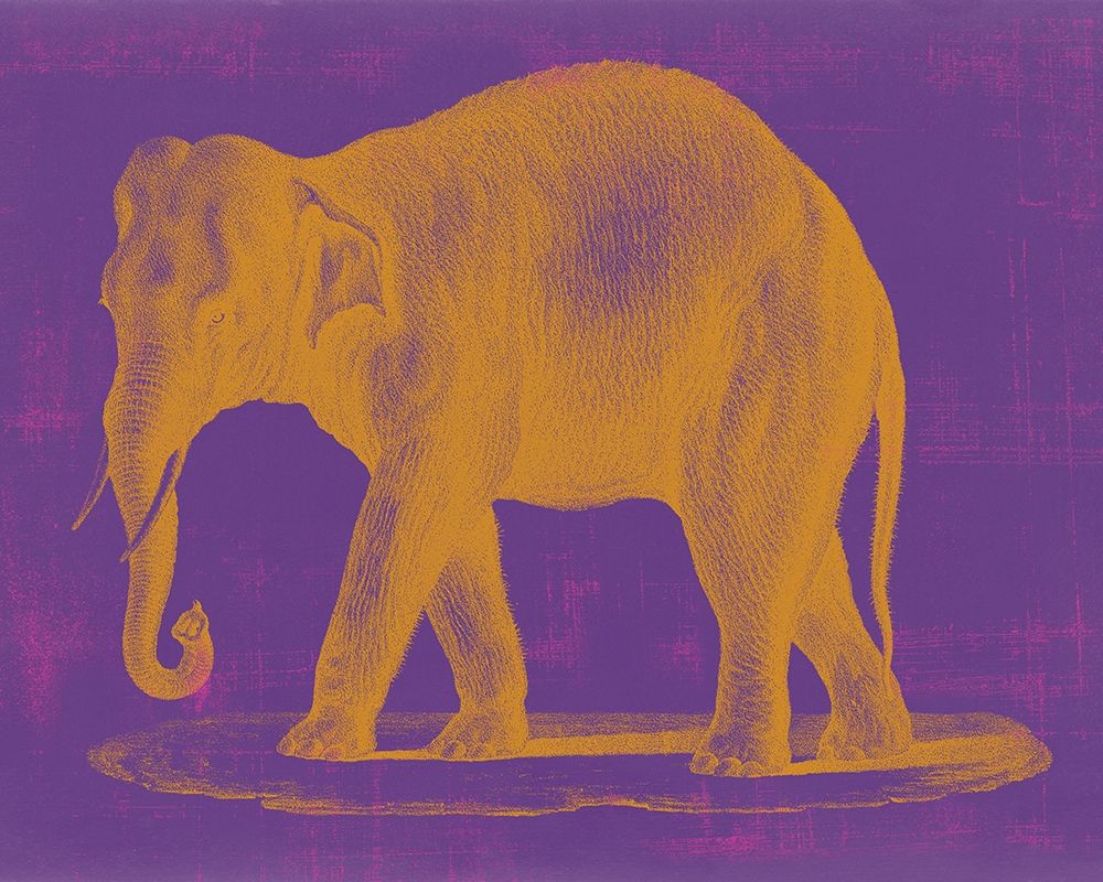 Safari Pop II