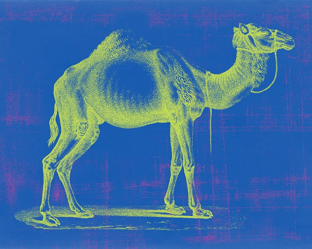 Safari Pop III