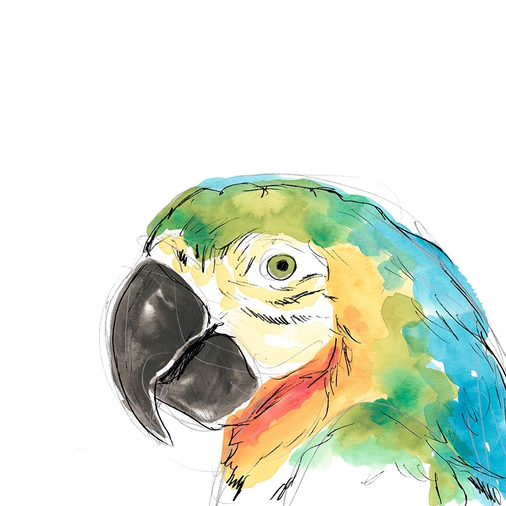 Tropical Bird Portrait I
