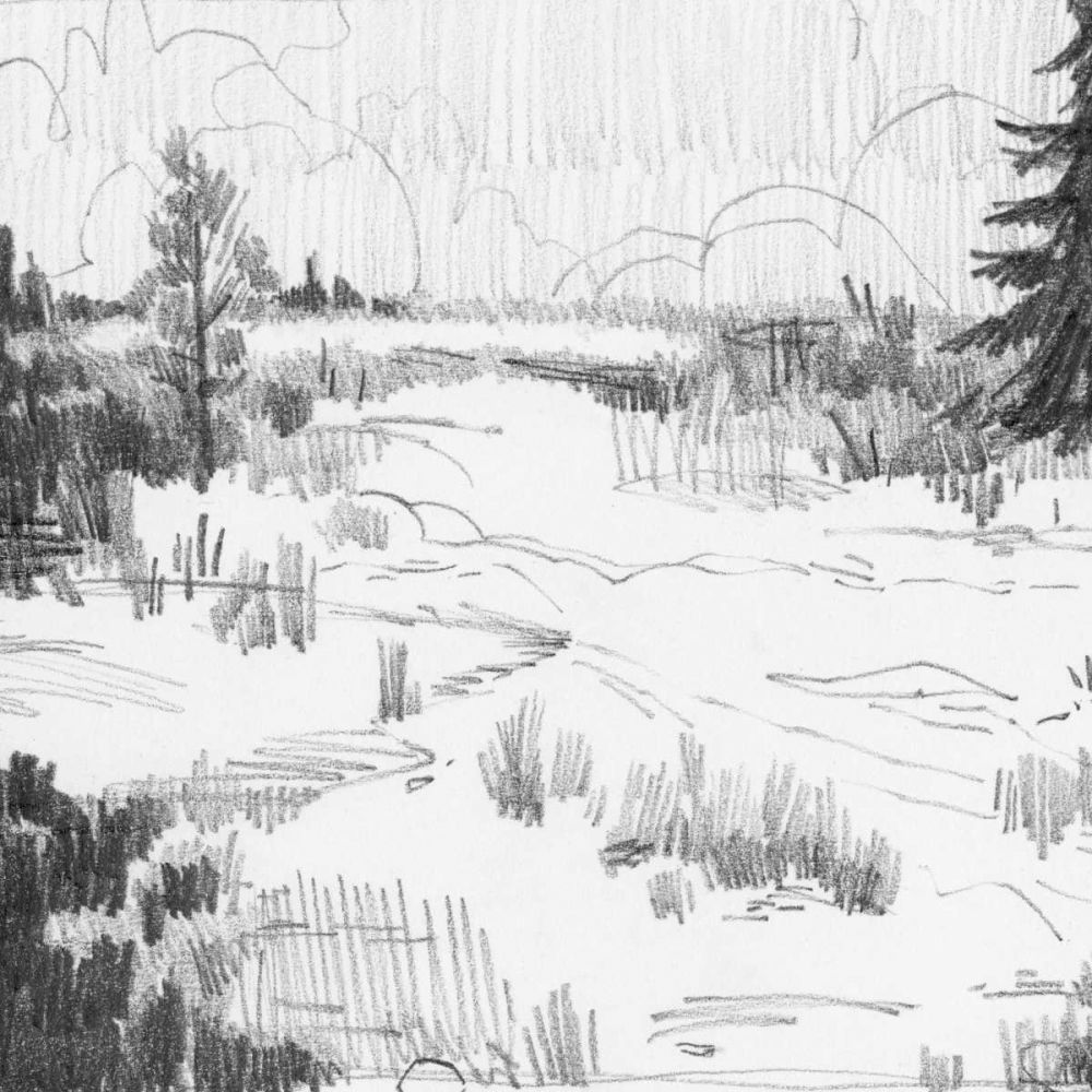 Wildland Sketch I
