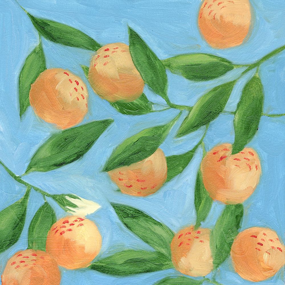 Sweet Tangerine II