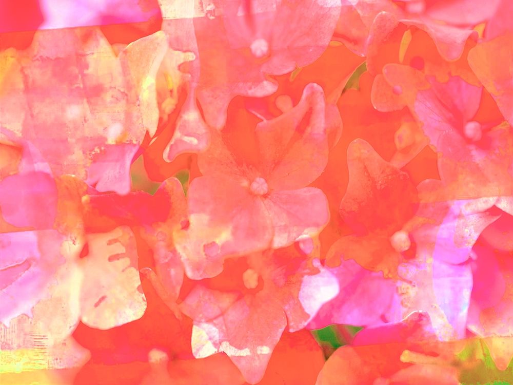 Joyful Summer I