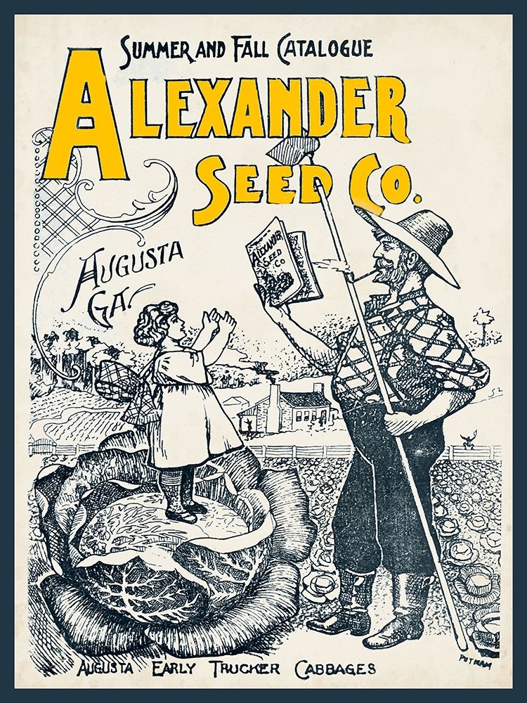 Antique Seed Packets IV