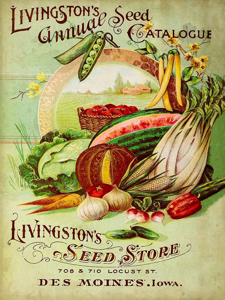 Antique Seed Packets VII