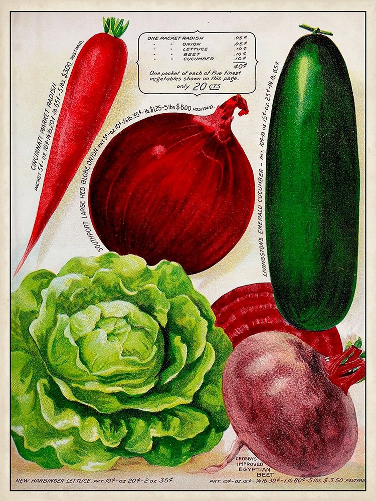 Antique Seed Packets XI