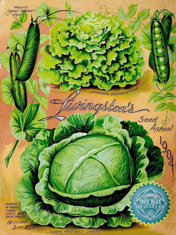 Antique Seed Packets XII