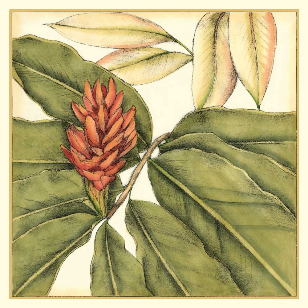 Tropical Blooms and Foliage II