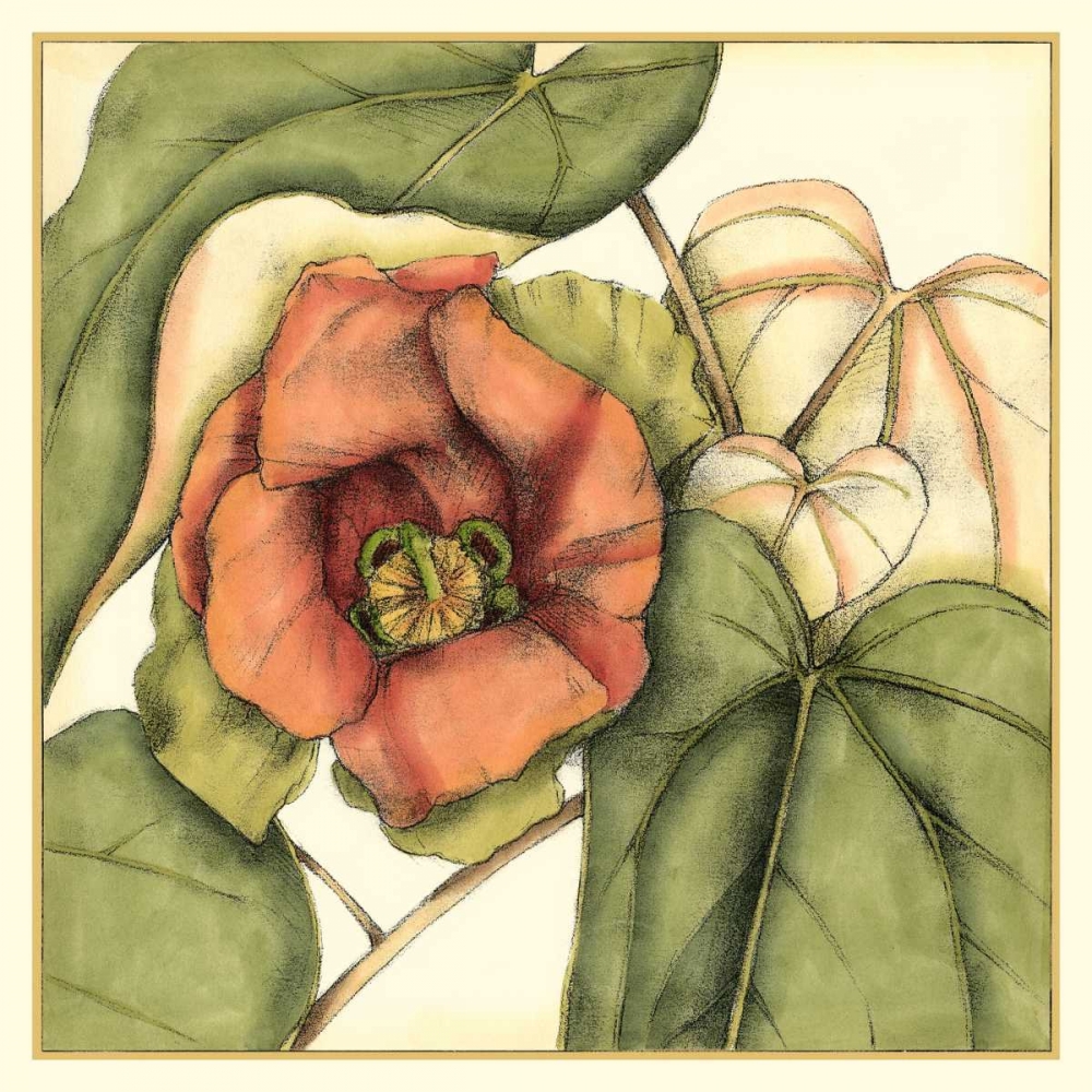 Tropical Blooms and Foliage IV