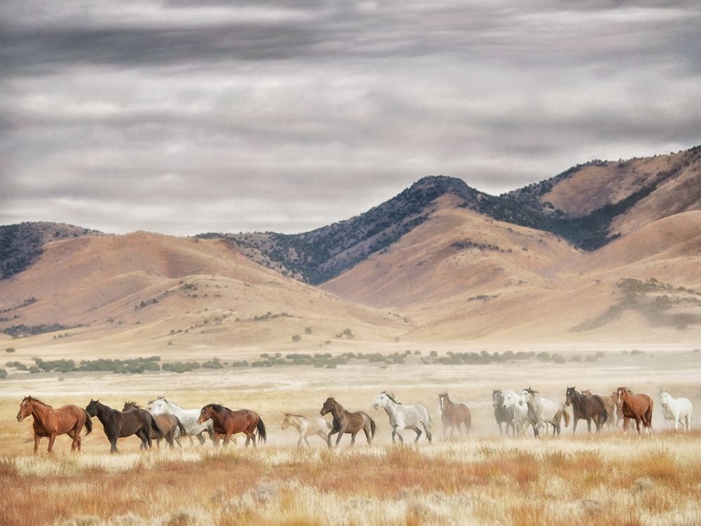 Horse Run II