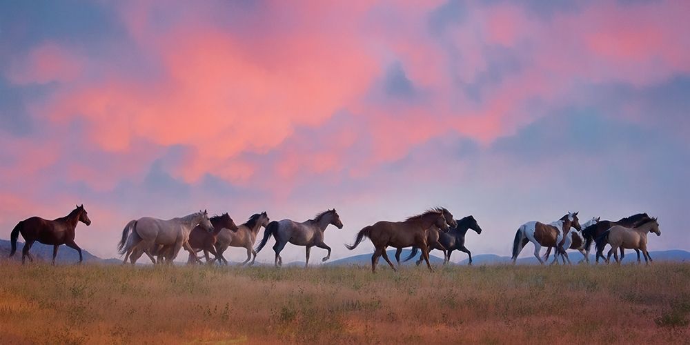 Horse Run VIII
