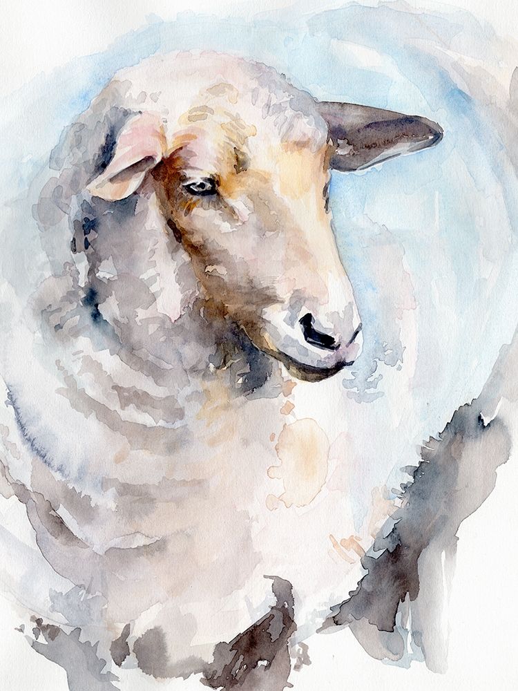 Watercolor Sheep I
