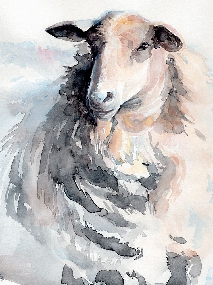 Watercolor Sheep II