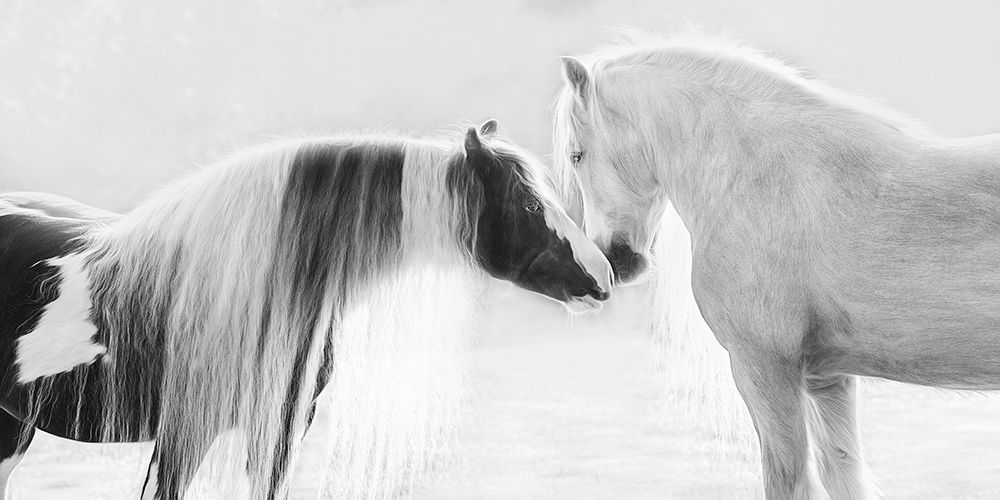 Collection of Horses III