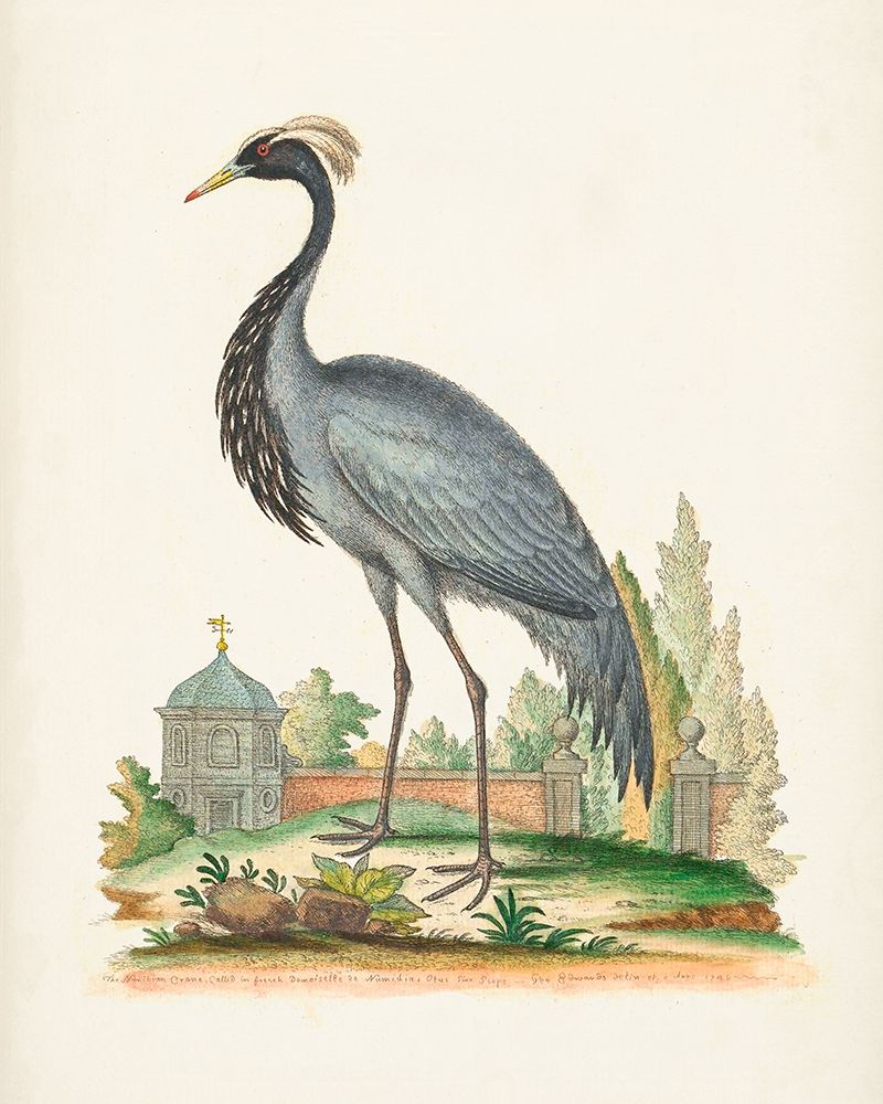 Antique Heron and Cranes II