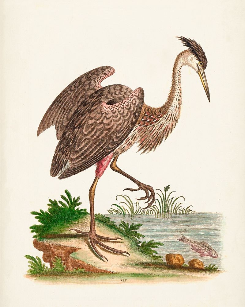 Antique Heron and Cranes III
