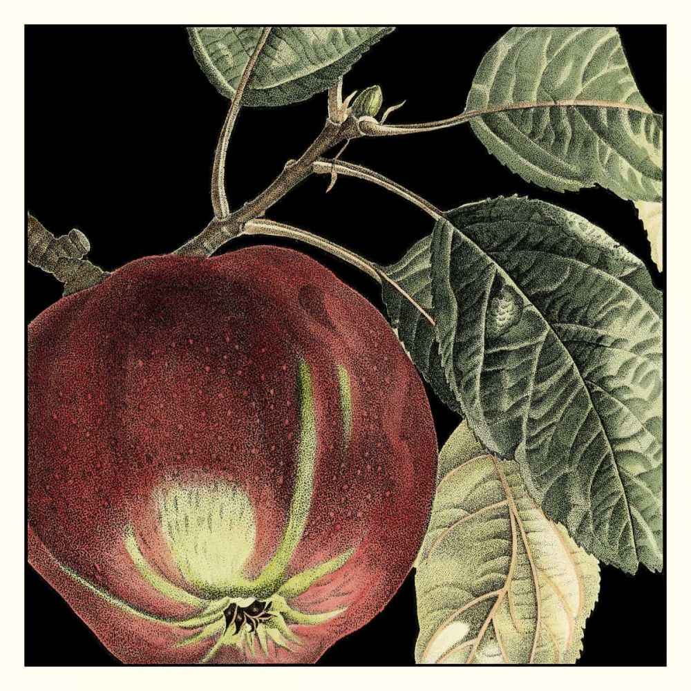Dramatic Apple