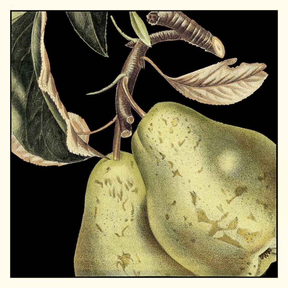 Dramatic Pear