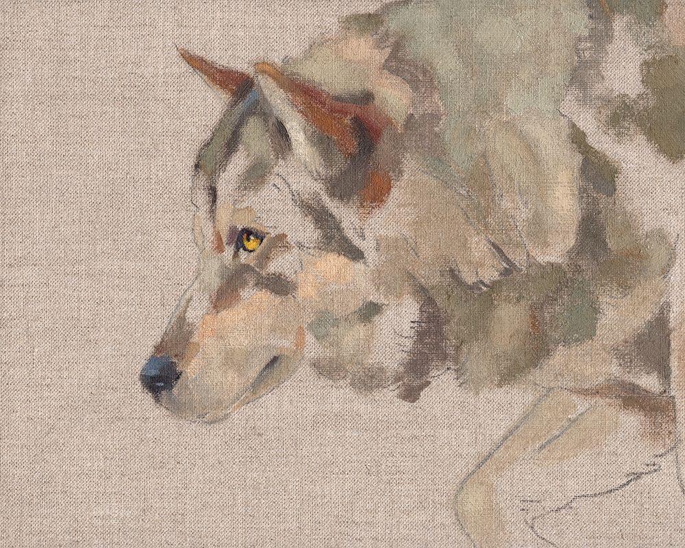 Timber Wolf II