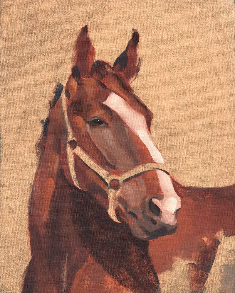 Thoroughbred IV