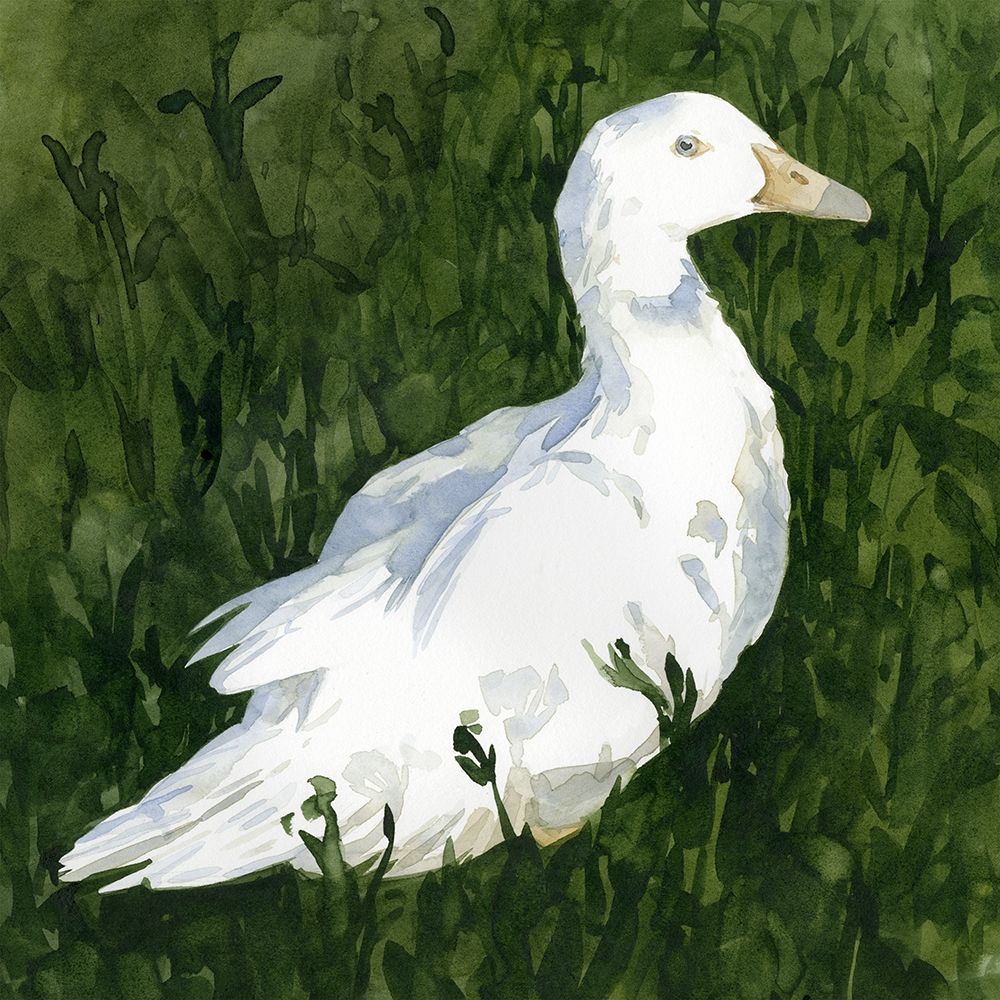 Lone Duck I