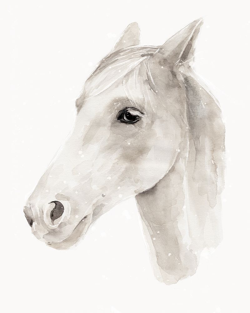 Ivory Stallion II