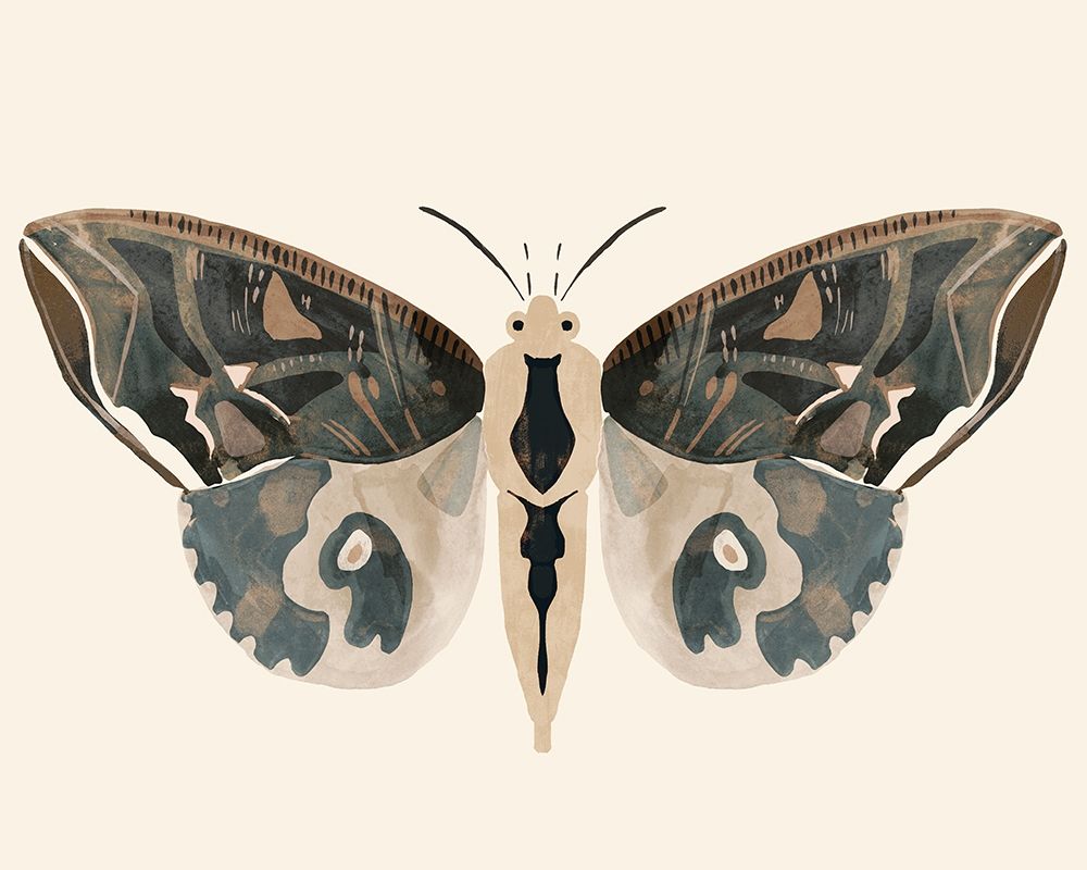 Neutral Moth II