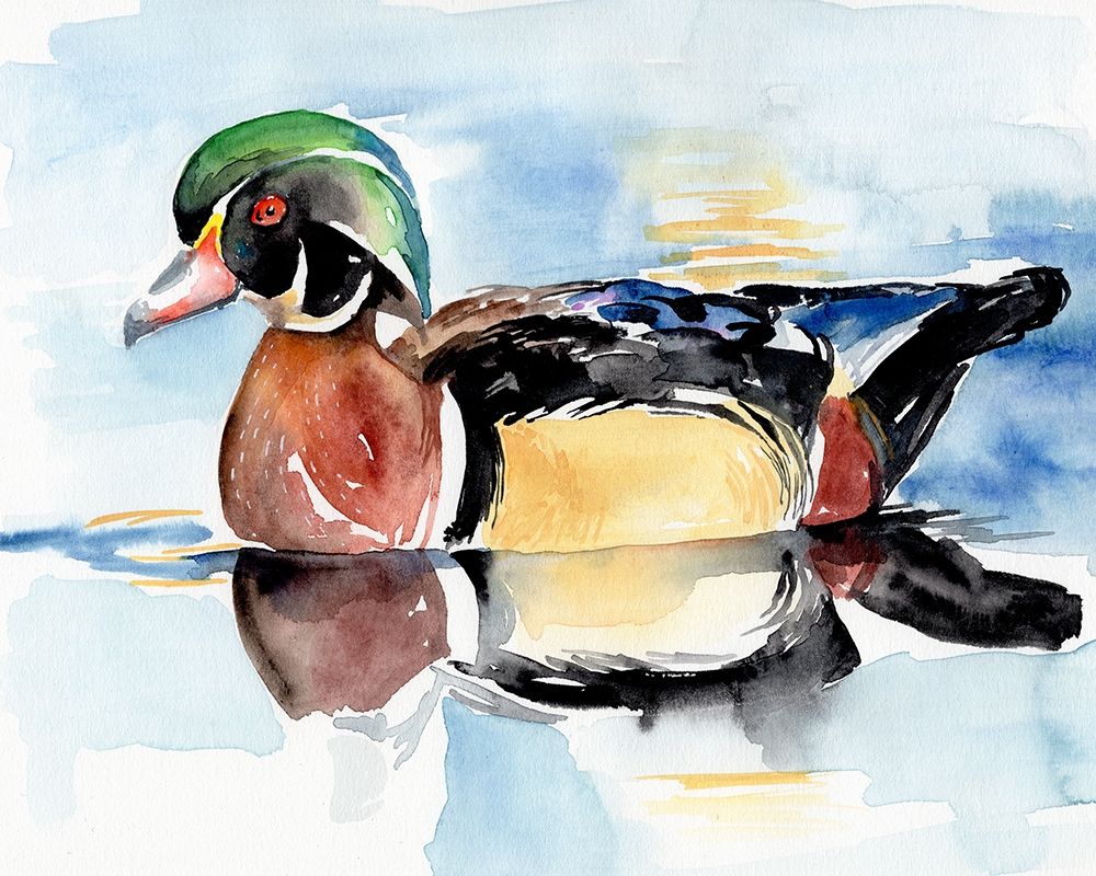 Watercolor Woodduck I