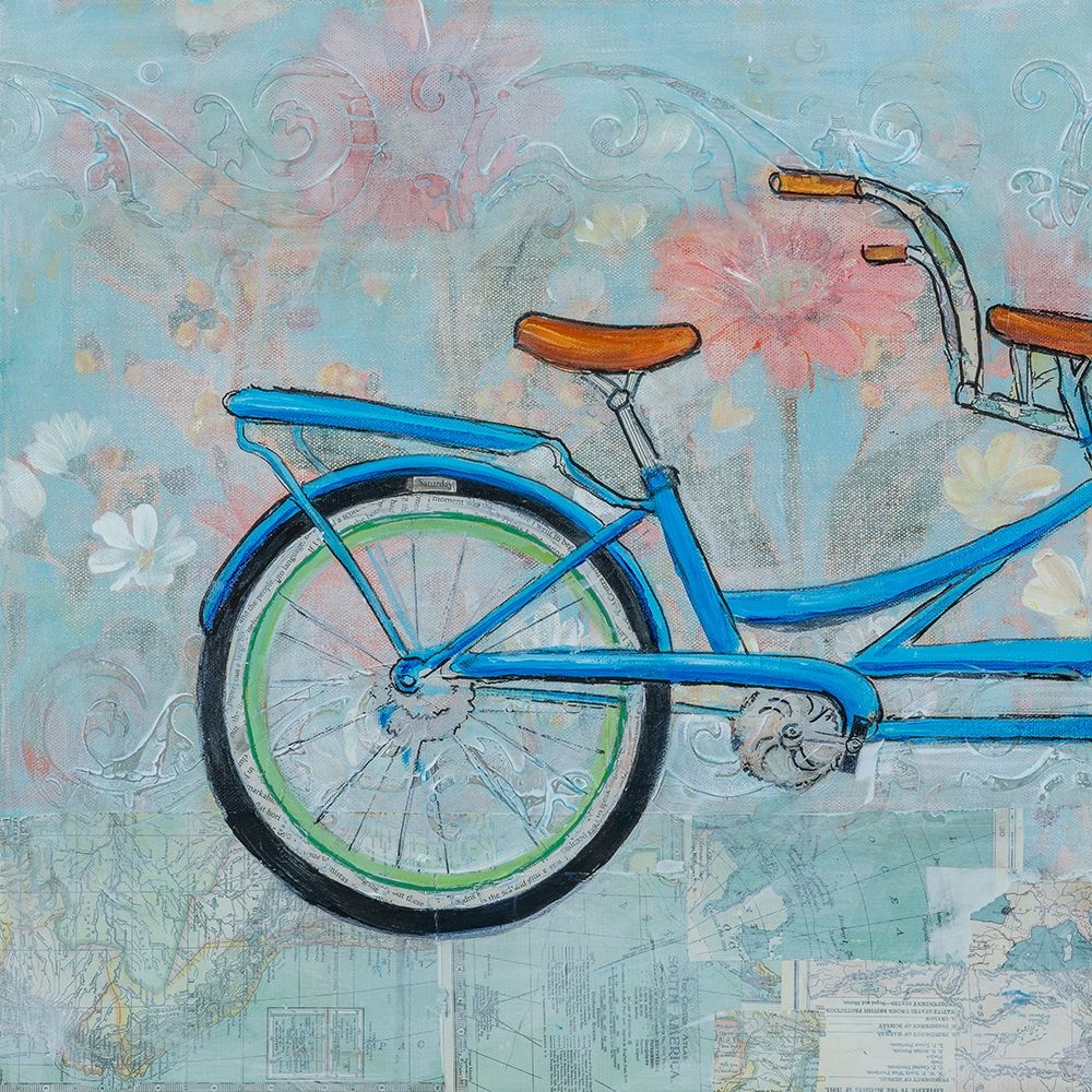 Bicycle Collage I