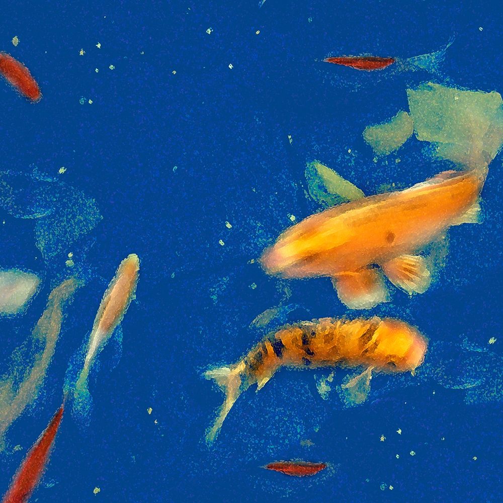 Swimming Lessons I