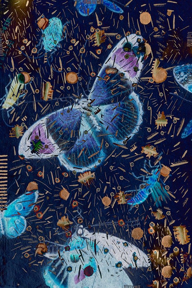 Confetti with Butterflies I