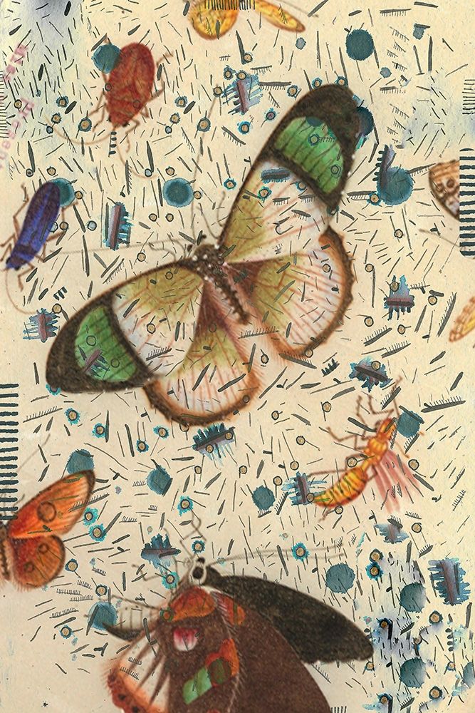 Confetti with Butterflies IV