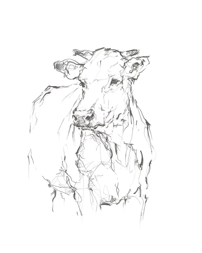 Bovine Quick Study II