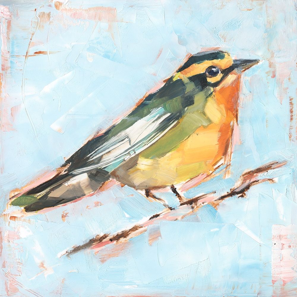 Bird Variety IV