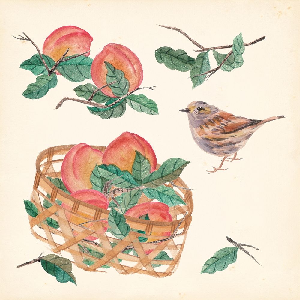 Basket with Fruit II