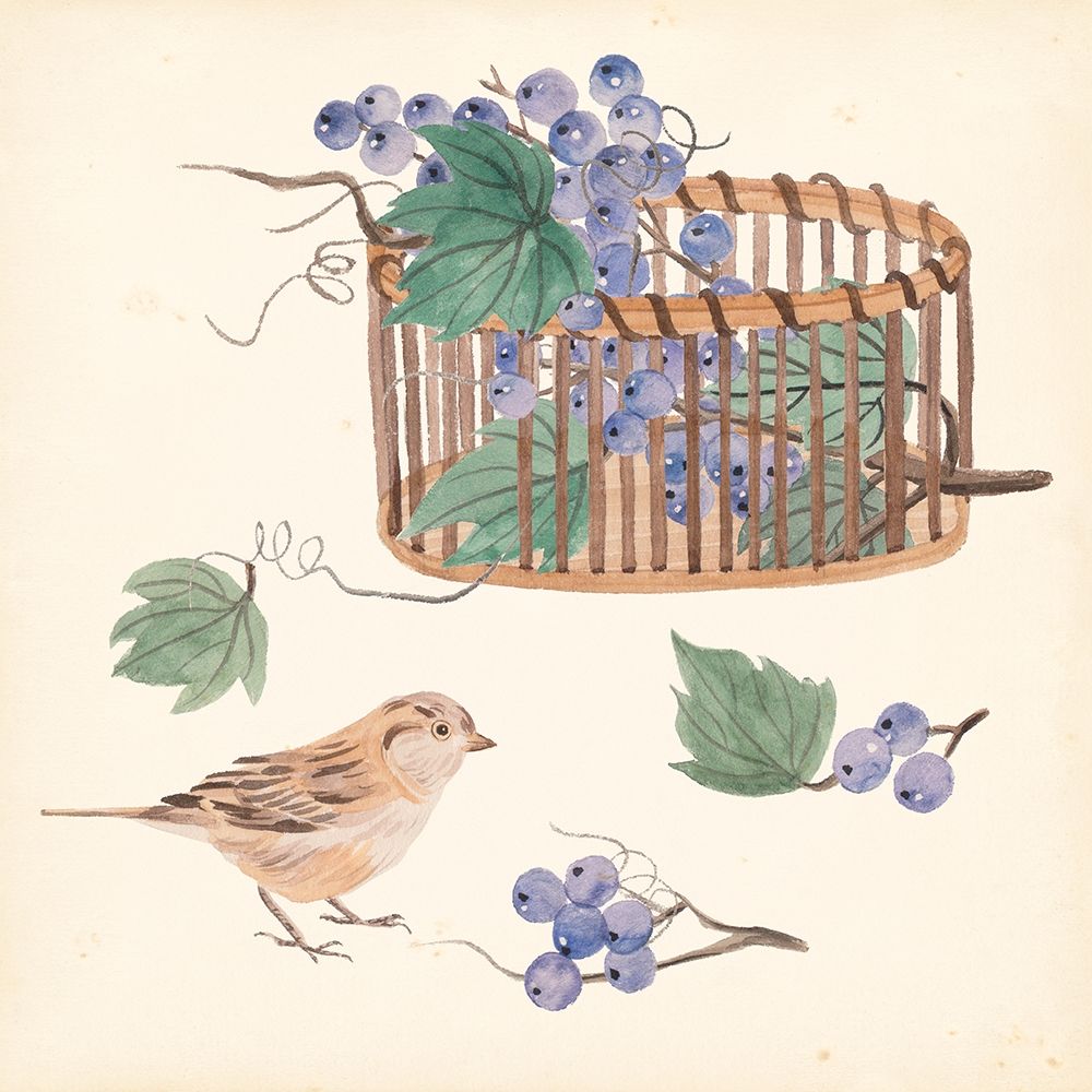Basket with Fruit V