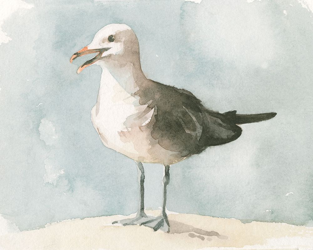 Simple Seagull II
