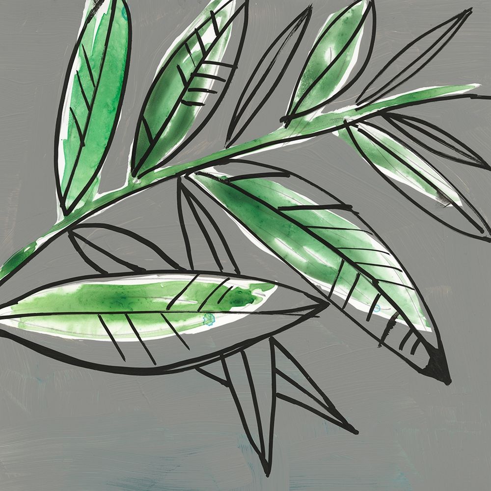Tropic Botanicals I