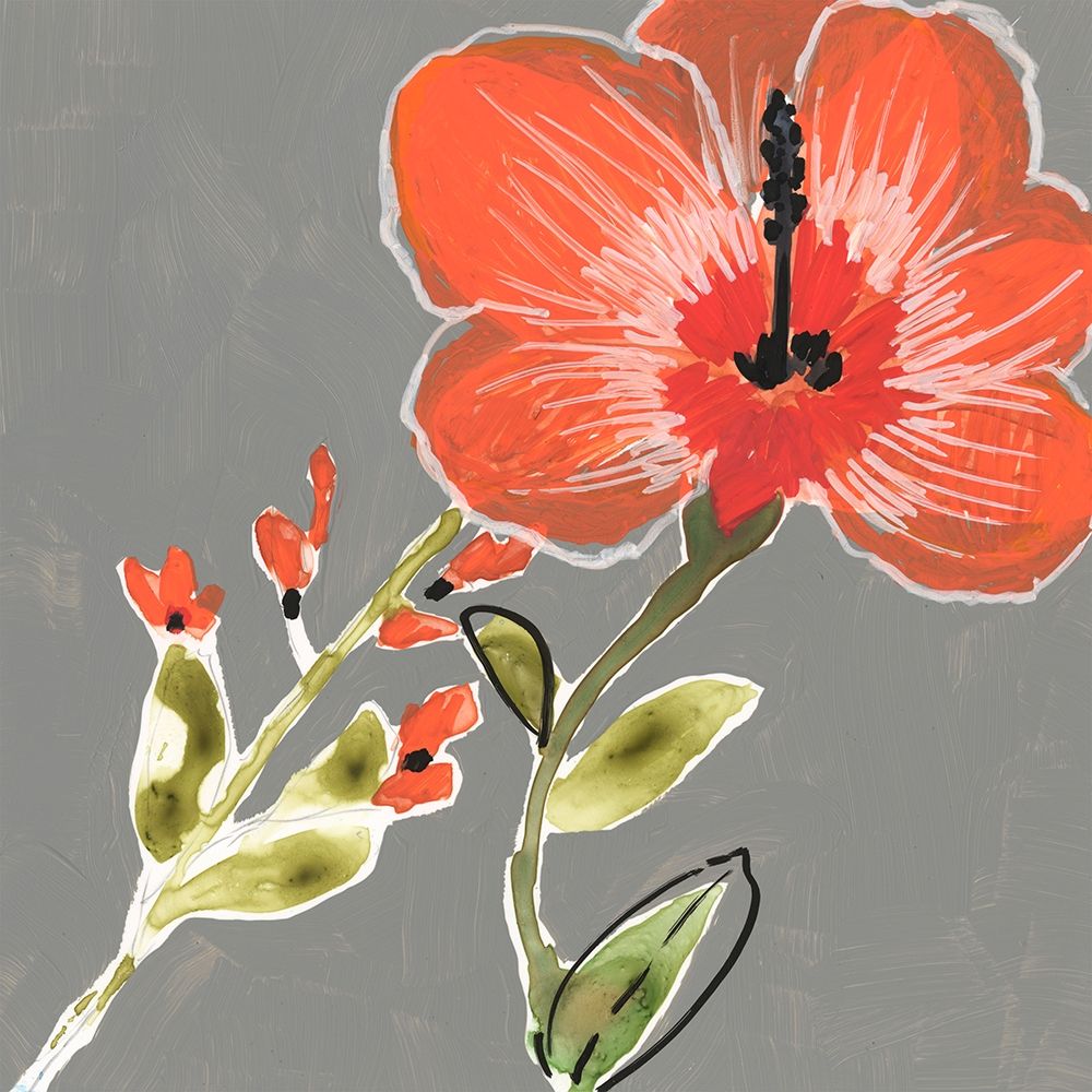 Tropic Botanicals III