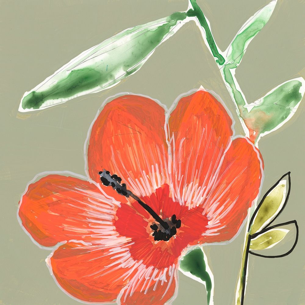 Tropic Botanicals IV