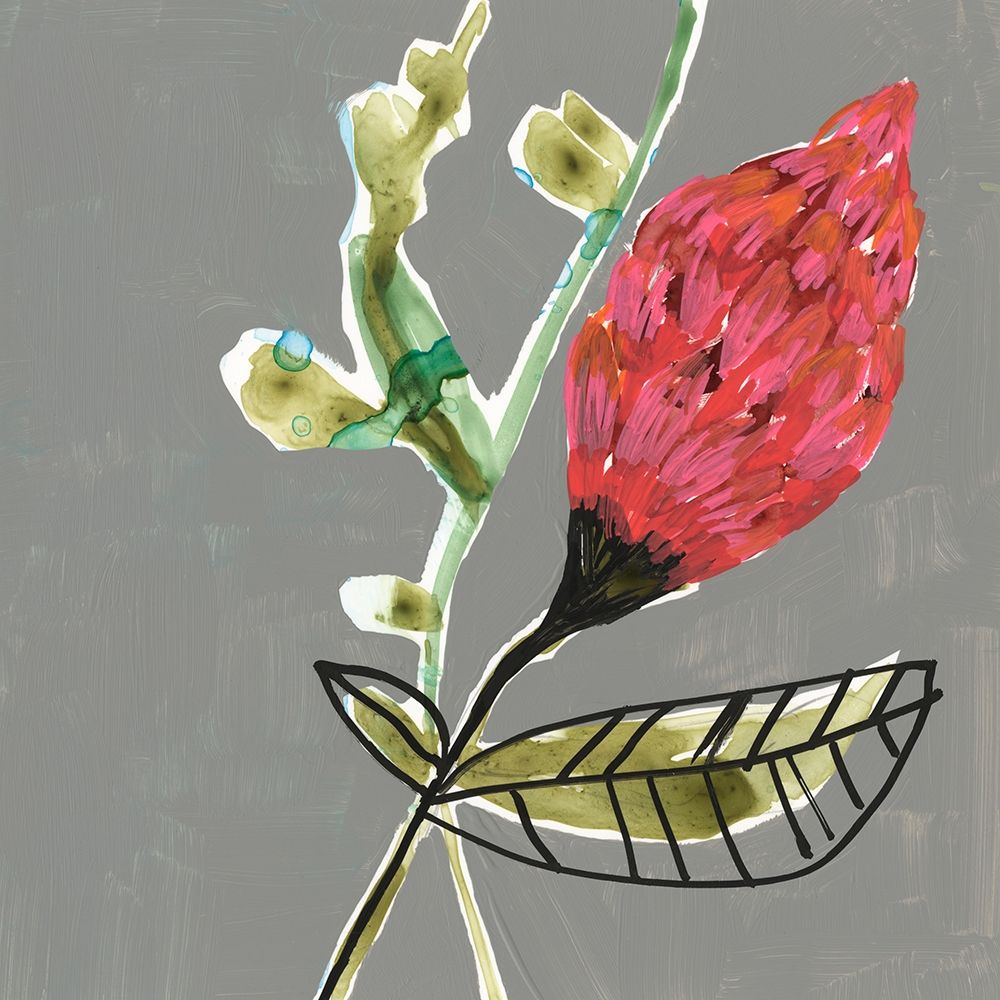 Tropic Botanicals VII