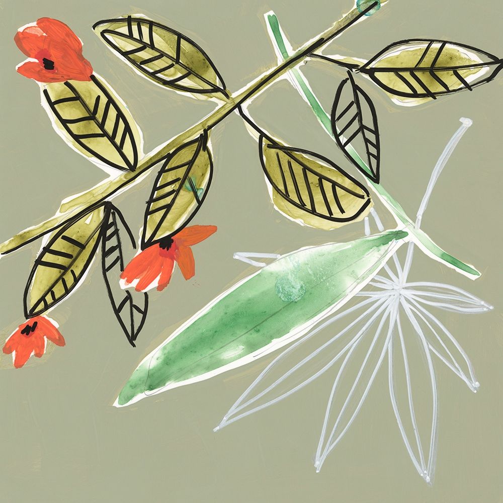 Tropic Botanicals VIII