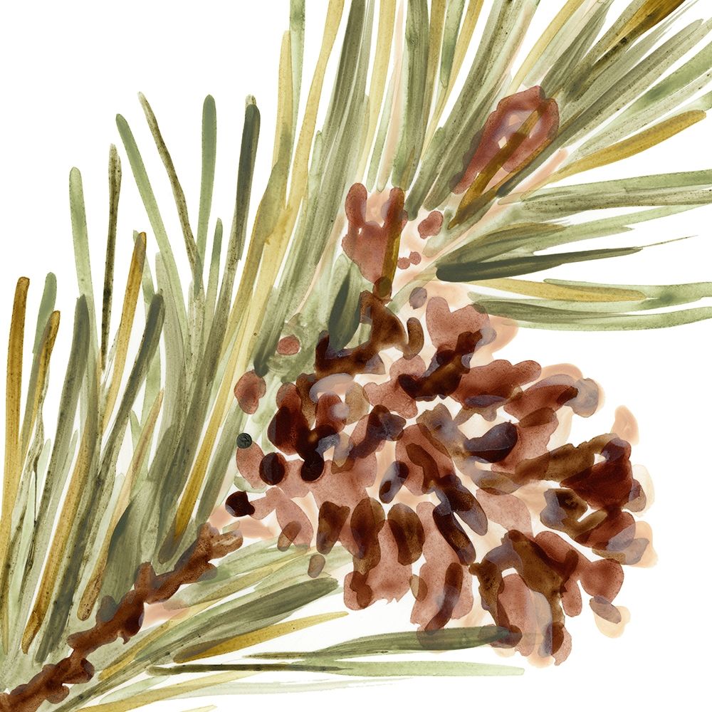 Simple Pine Cone I