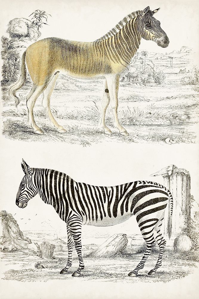 Journal of Natural History I