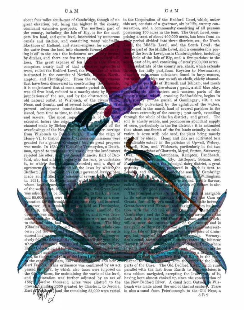 The Dandy Crab