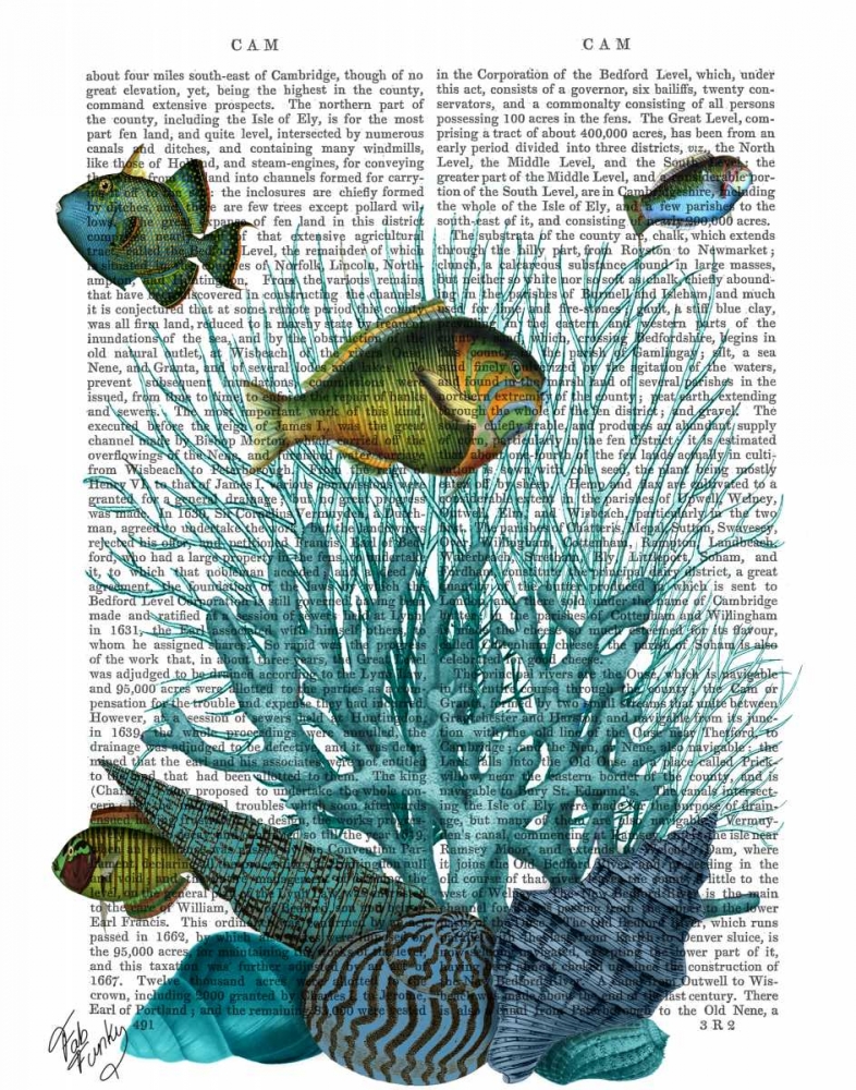Fish Blue Shells and Corals