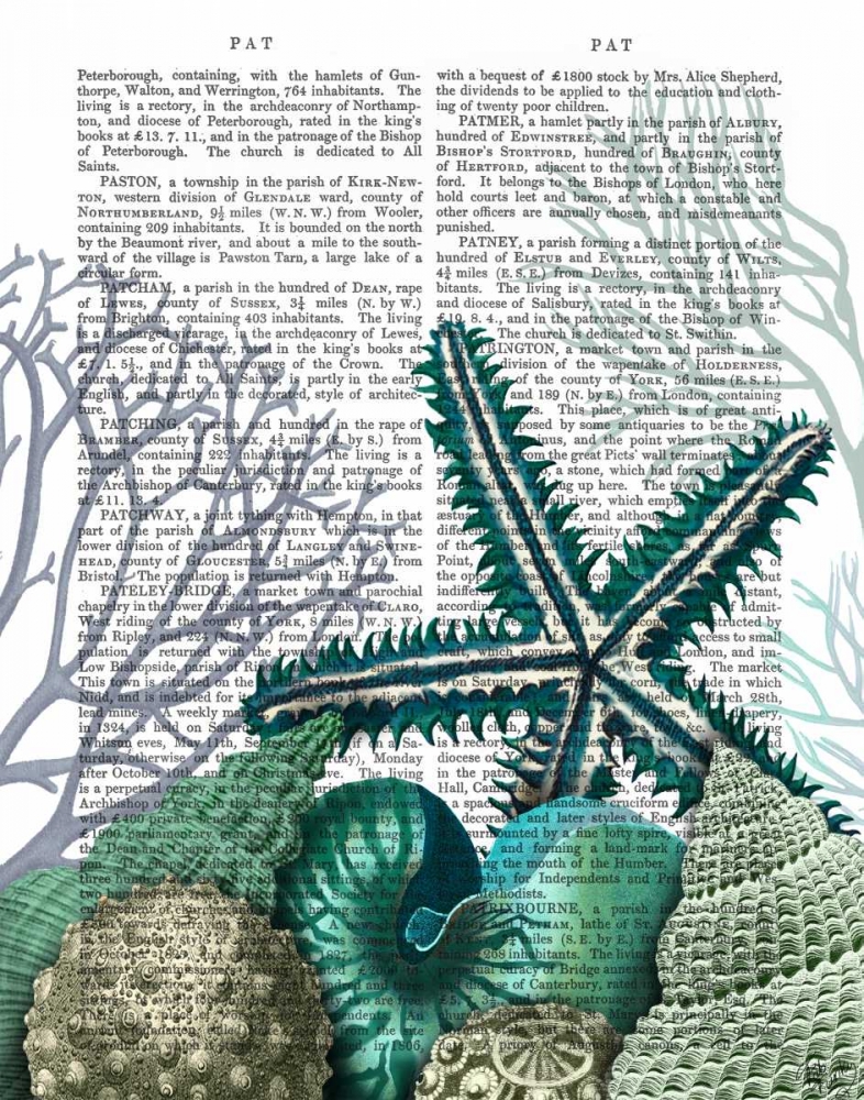 Starfish Under the Sea